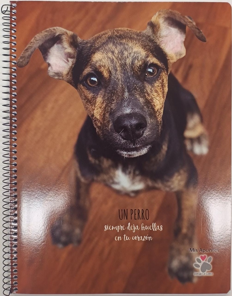 🔴Cuaderno A4 Mis Apuntes 80hjs Perritos