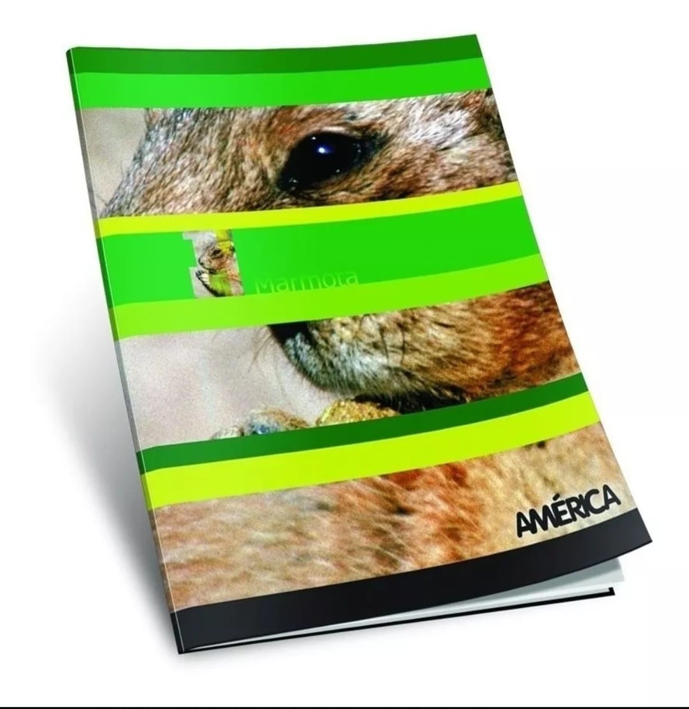 🔴Cuaderno America Tapa Blanda x48